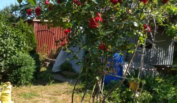 Działka rod Gryfino Górny Taras, ul. Zygmunta Krasińskiego