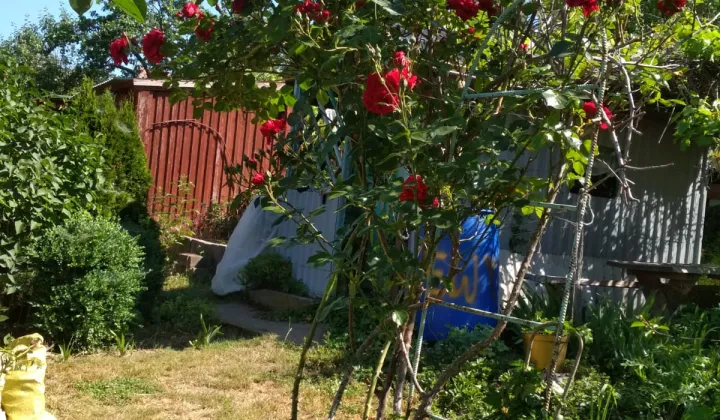 Działka rod Gryfino Górny Taras, ul. Zygmunta Krasińskiego