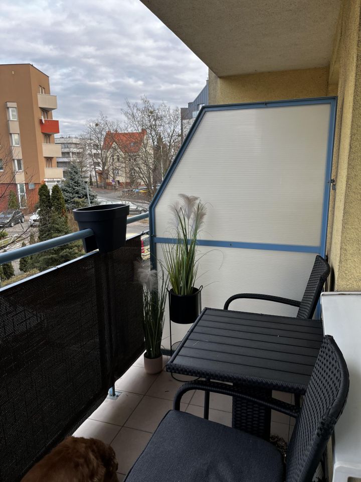 Mieszkanie 2-pokojowe Wrocław Krzyki, ul. Krzycka. Zdjęcie 12