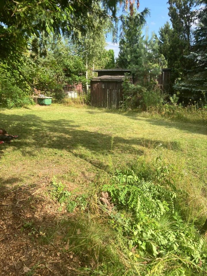 Działka rod Warszawa Wawer. Zdjęcie 2