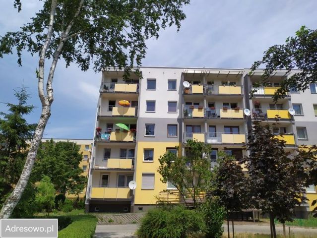 Mieszkanie 3-pokojowe Bytom Miechowice. Zdjęcie 1