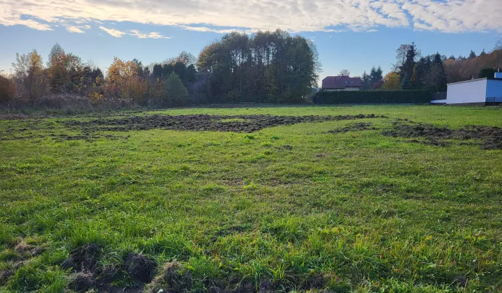 Działka budowlana Zgierz Chełmy, ul. Owocowa