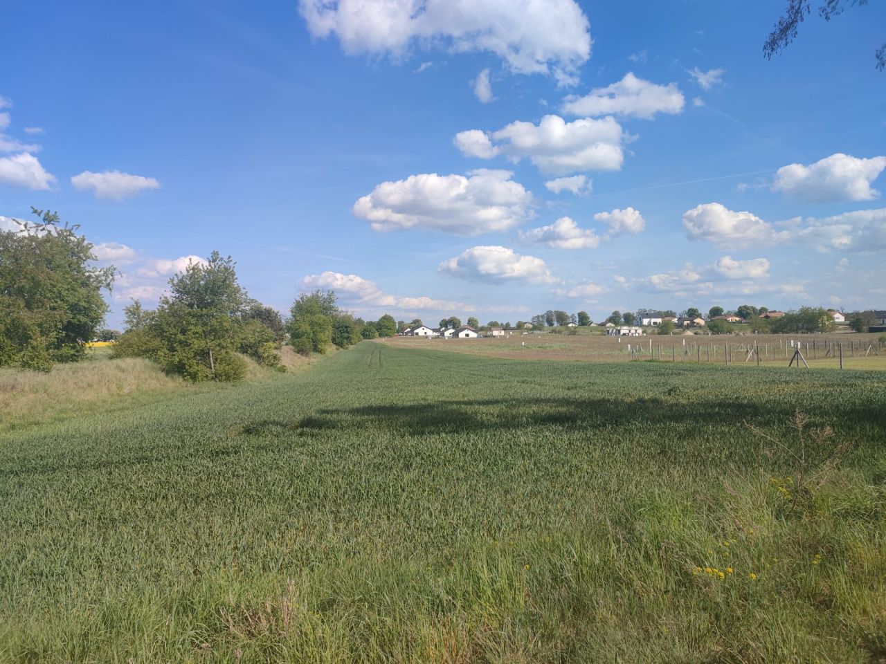 Działka budowlana Lubosz