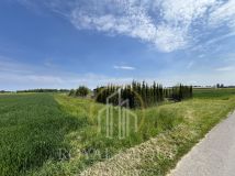 Działka budowlana Rudka Kozłowiecka. Zdjęcie 4