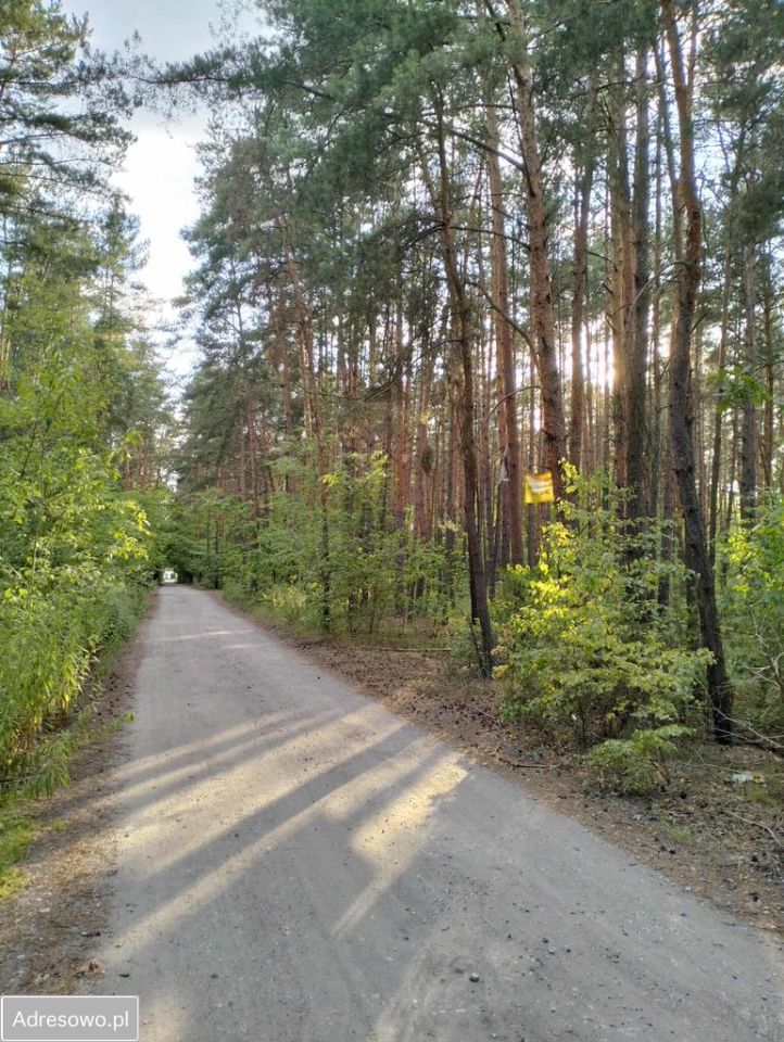 Działka budowlana Józefów, ul. Podleśna. Zdjęcie 2