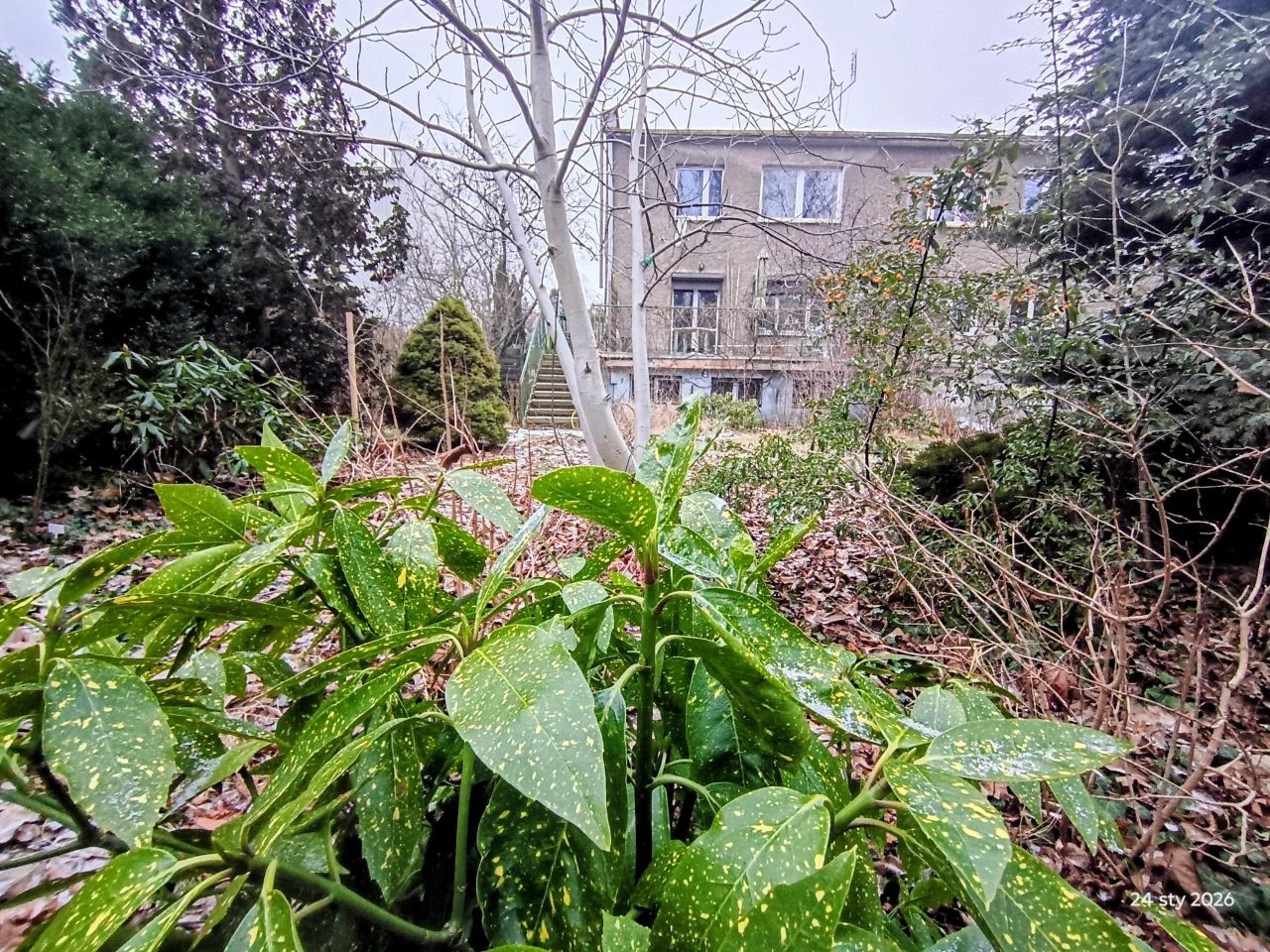 inny, 6 pokoi Wrocław Borek, ul. Wolbromska. Zdjęcie 10