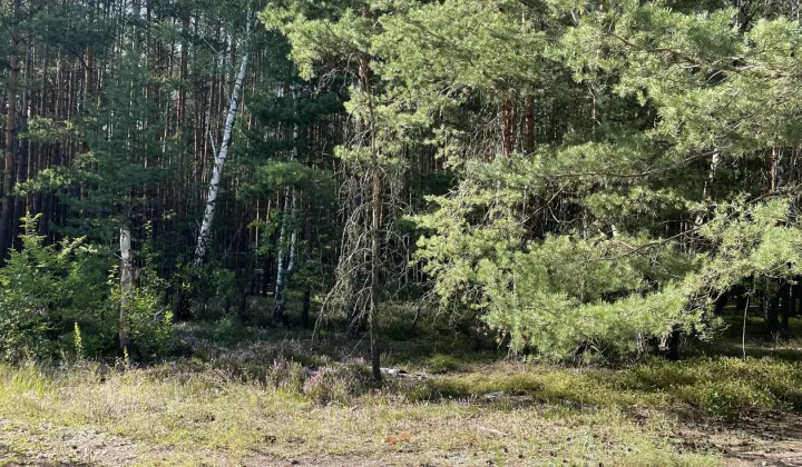 Działka budowlana Otwock Soplicowo, ul. Bernardyńska