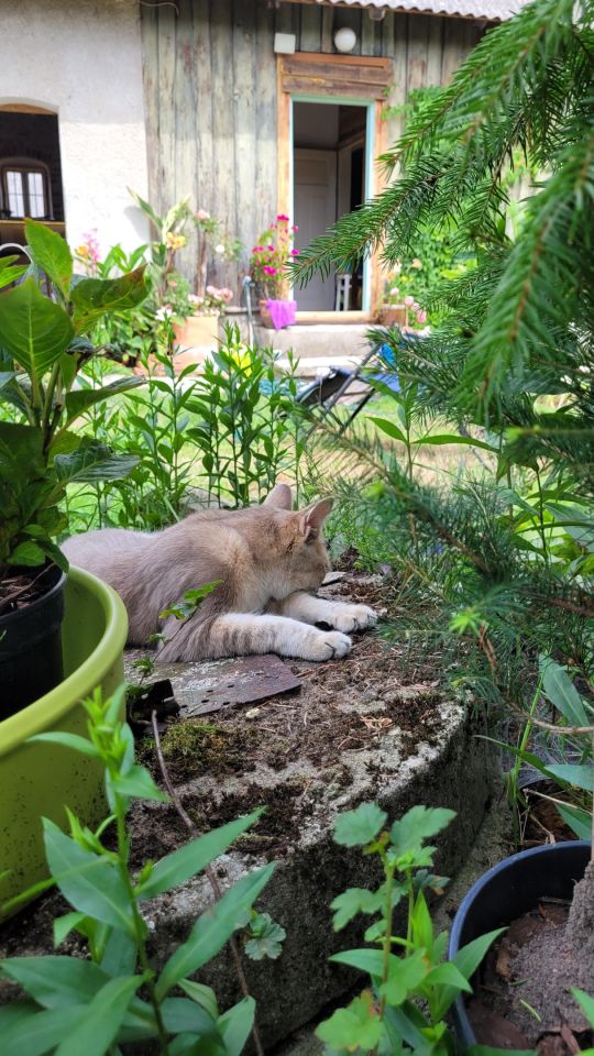 dom wolnostojący, 2 pokoje Włodowice, N. Zdjęcie 17