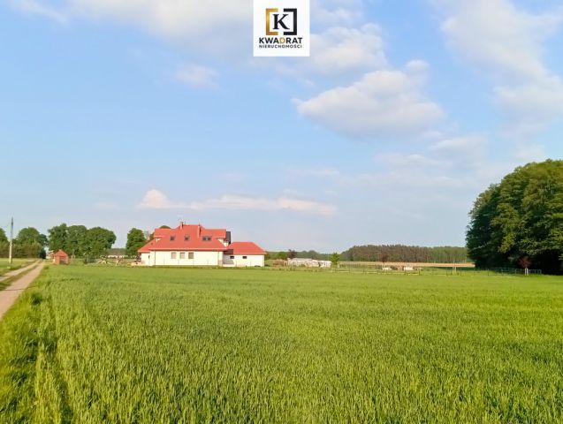 dom wolnostojący, 5 pokoi Przedewsie. Zdjęcie 18