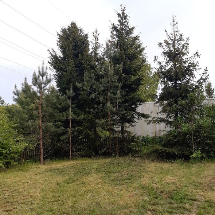 Działka rod Gdańsk Osowa, ul. Meteorytowa. Zdjęcie 5