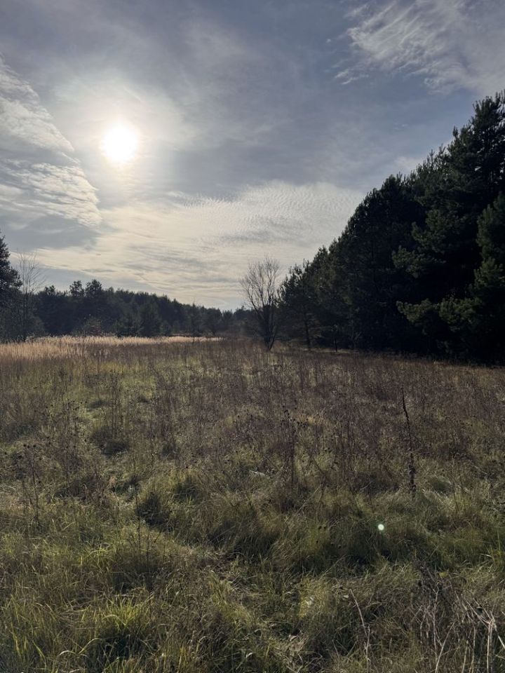 Działka rolno-budowlana Józefów. Zdjęcie 5