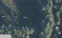 Działka rolno-budowlana Murzynowo Leśne. Zdjęcie 2