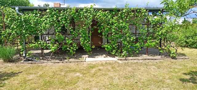 Działka rod Słocin. Zdjęcie 1