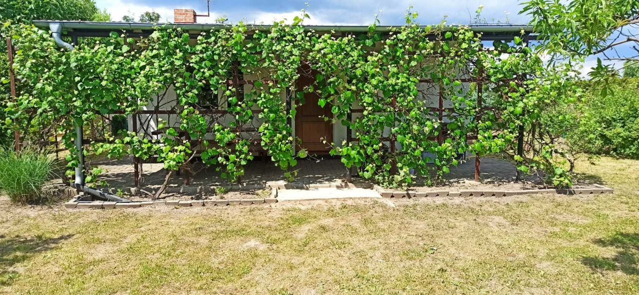 Działka rod Słocin