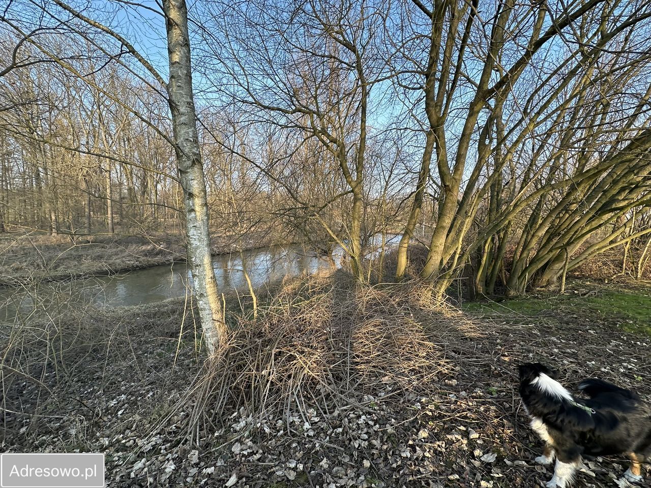 Działka rolna Wrocław Jarnołtów