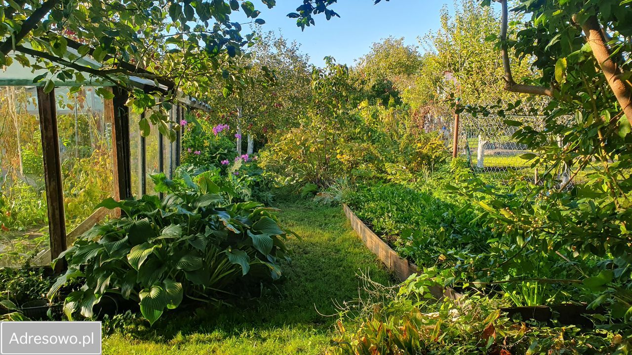 Działka rod Szczecin Śródmieście. Zdjęcie 12