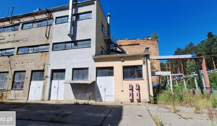 Hala/magazyn Nowa Sarzyna