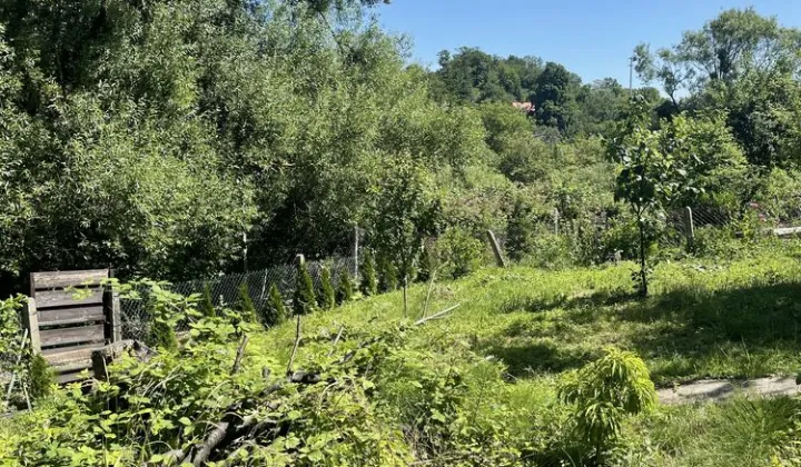 Działka rod Szczecin Golęcino, ul. Wendeńska