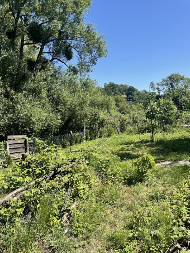 Działka rod Szczecin Golęcino, ul. Wendeńska. Zdjęcie 1