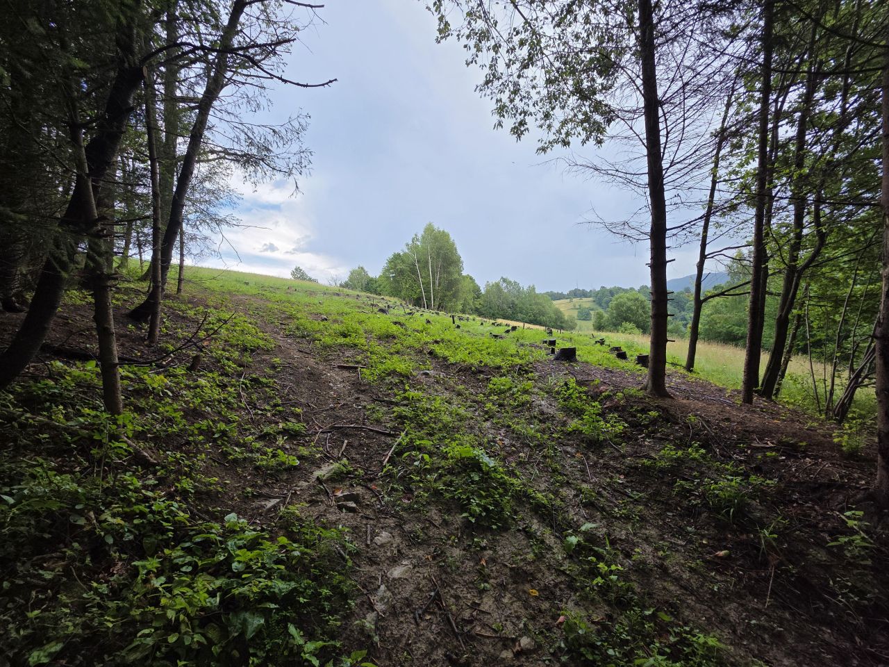 Działka budowlana Bóbrka. Zdjęcie 5