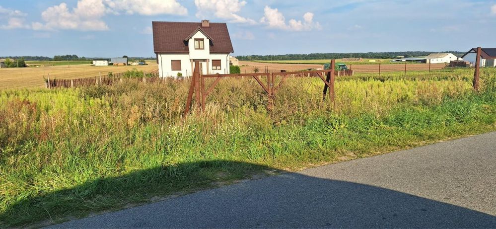 Działka rolna Królikowo. Zdjęcie 5