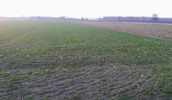 Działka rolna Stamirowice