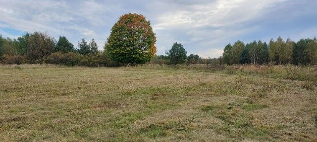 Działka budowlana Jagodne. Zdjęcie 1