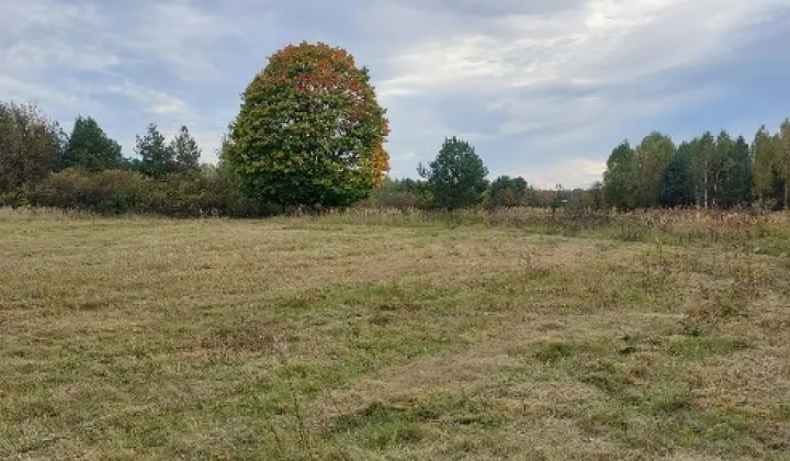 Działka budowlana Jagodne