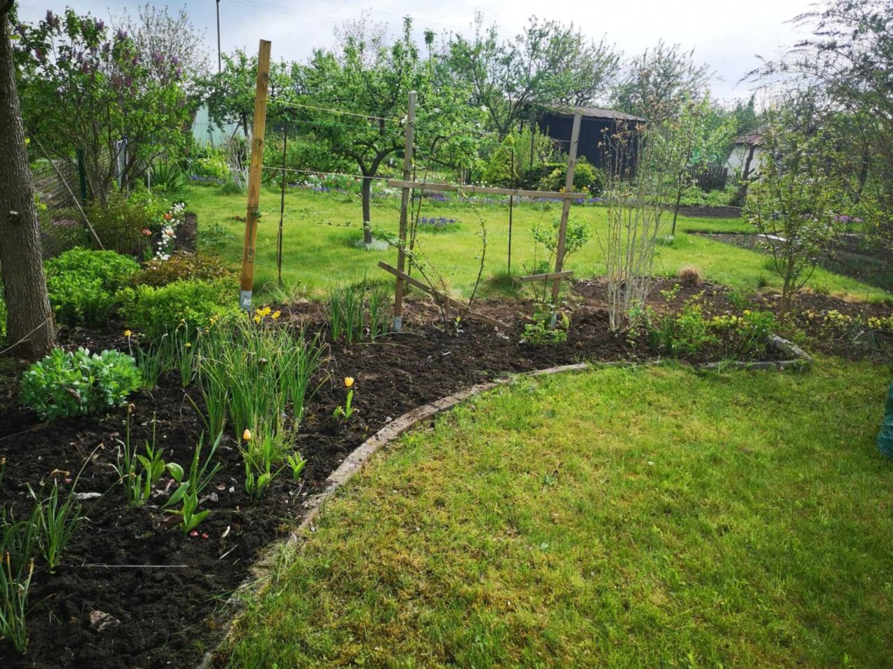 Działka rekreacyjna Wrocław Krzyki, ul. gen. Tadeusza Kutrzeby