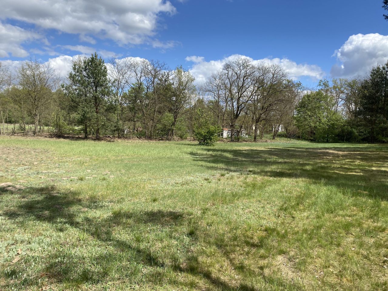 Działka siedliskowa Radziwiłka. Zdjęcie 5