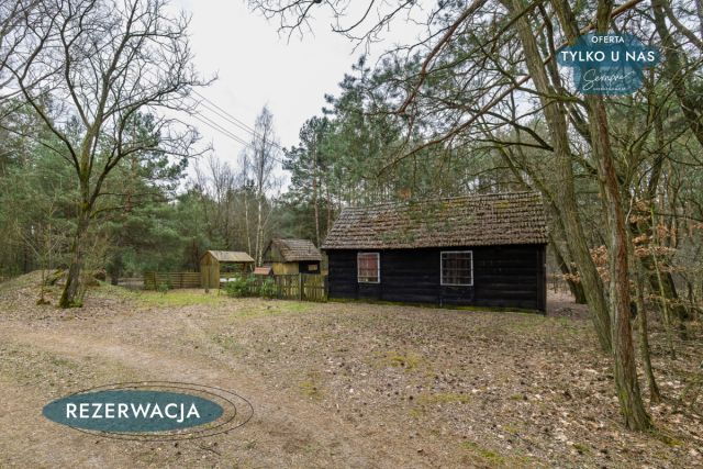 Działka leśna Kije. Zdjęcie 11