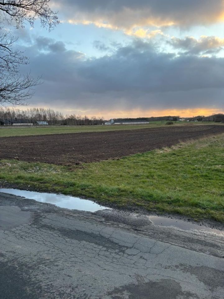 Działka rolno-budowlana Byszewice. Zdjęcie 5