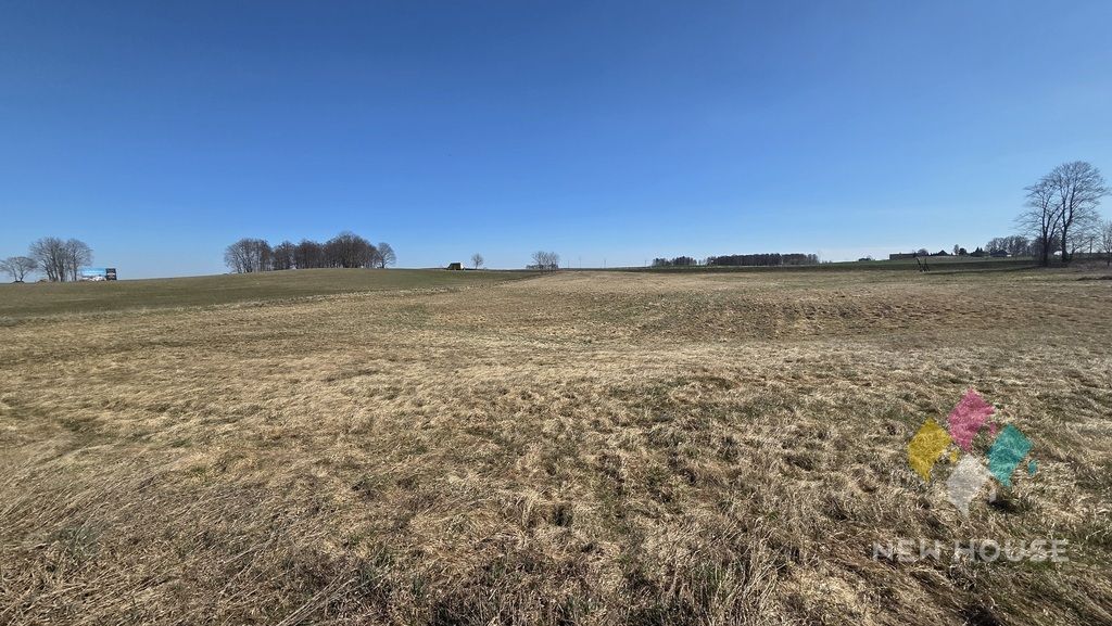 Działka rolna Woźnice. Zdjęcie 7