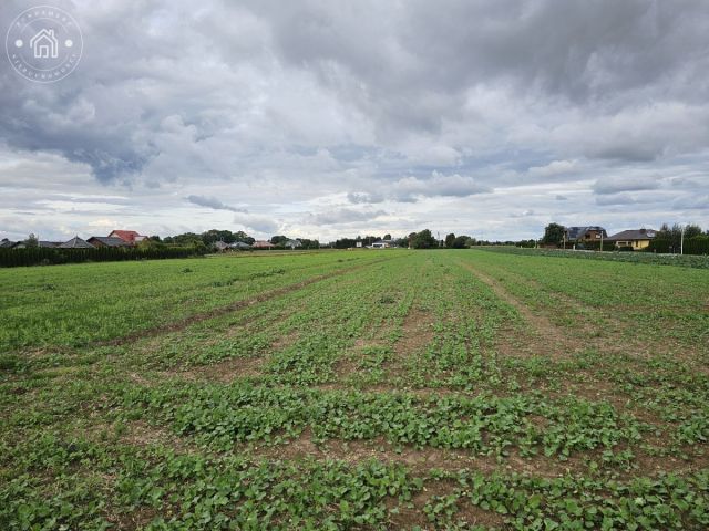 Działka rolno-budowlana Turowola-Kolonia. Zdjęcie 6