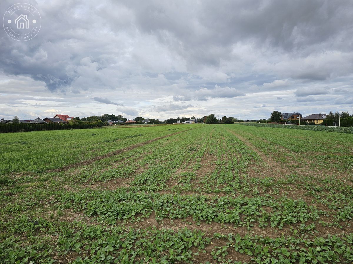 Działka rolno-budowlana Turowola-Kolonia. Zdjęcie 6