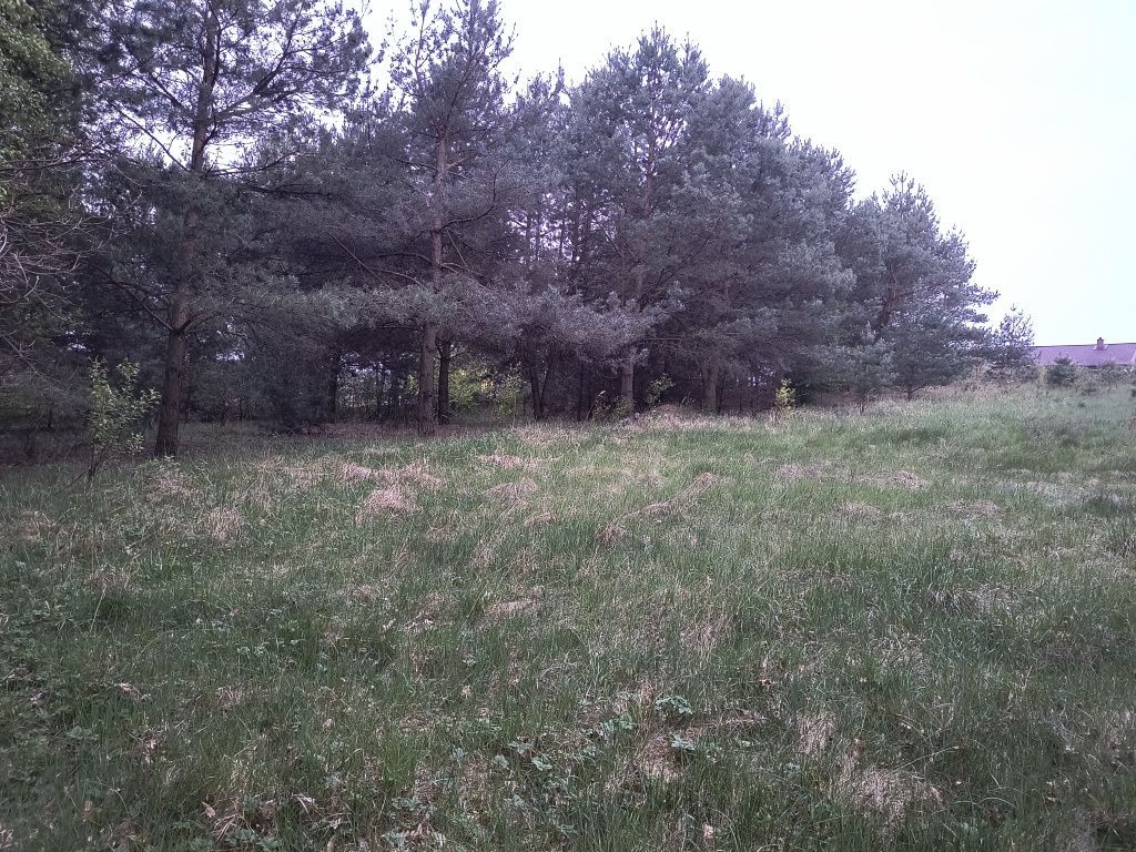 Działka rolna Jarczewo. Zdjęcie 6