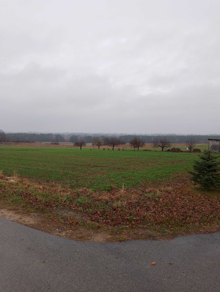 Działka budowlana Boguszówka. Zdjęcie 3