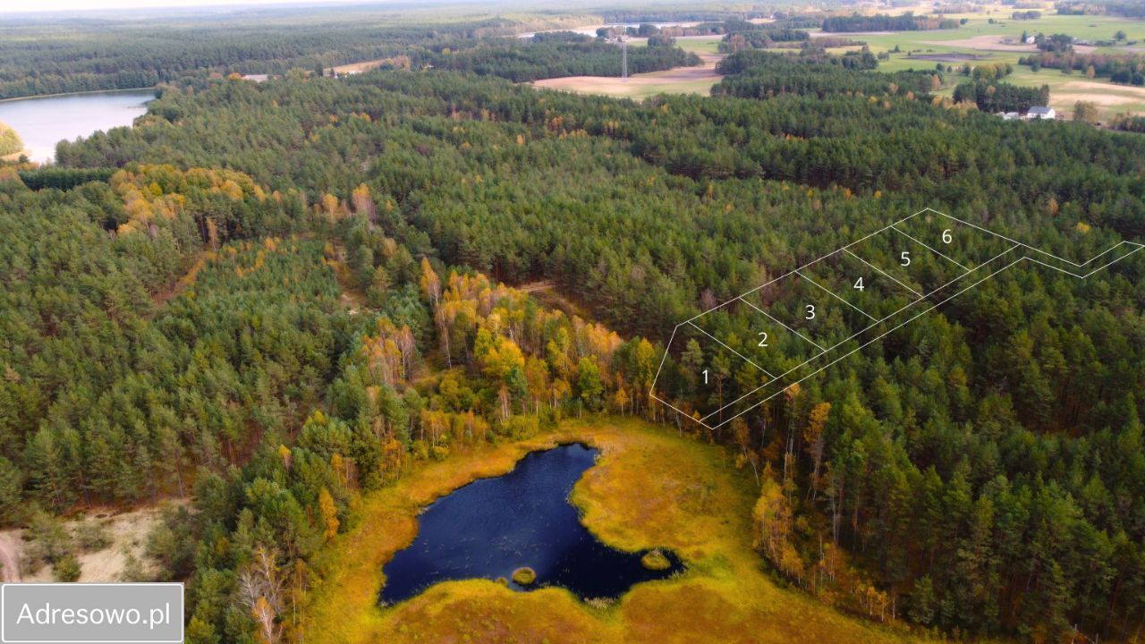 Działka leśna Zielona Chocina. Zdjęcie 3