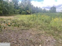 Działka budowlana Powązki. Zdjęcie 3