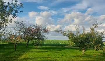 dom wolnostojący, 3 pokoje Siedliska