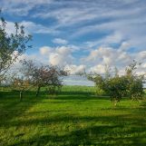 dom wolnostojący, 3 pokoje Siedliska. Zdjęcie 1