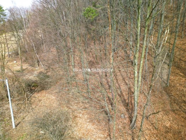 Działka leśna Jerzmanowice, ul. Zachodnia. Zdjęcie 6