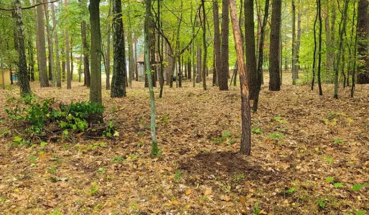 Działka budowlana Grotniki, ul. Ozorkowska