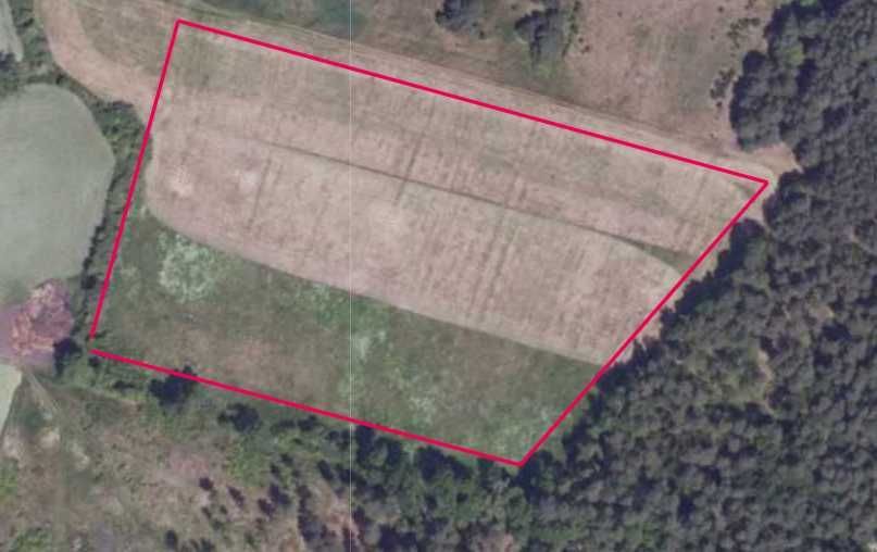 Działka rolna Motyle. Zdjęcie 2