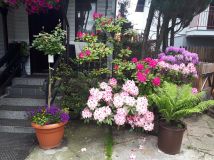 dom wolnostojący, 5 pokoi Szczyrk Szczyrk Dolny, ul. Beskidzka. Zdjęcie 4