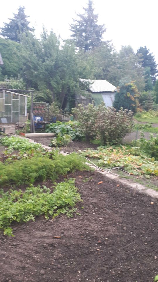 Działka rod Starogard Gdański. Zdjęcie 4