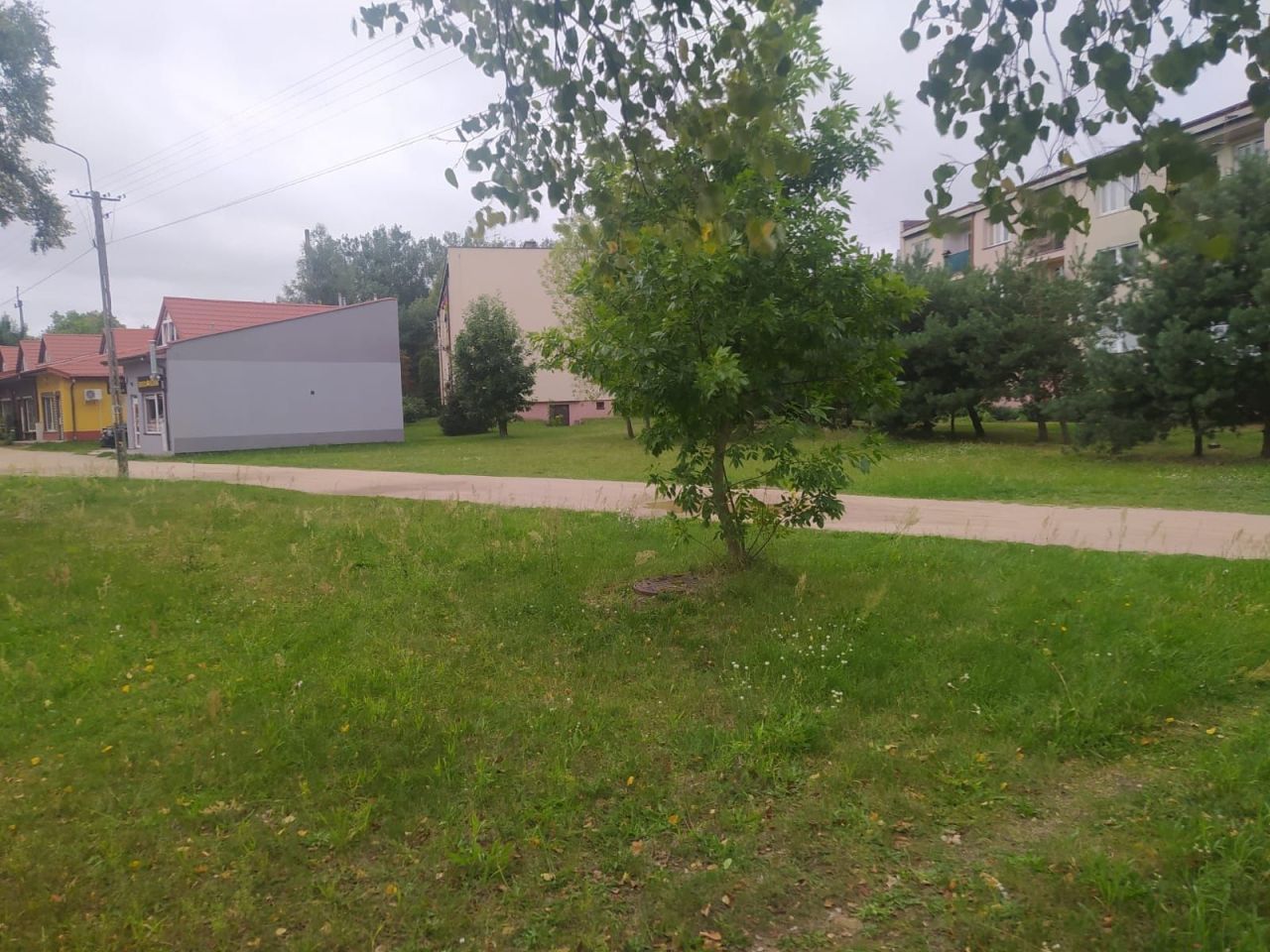 Działka budowlana Domaniewice. Zdjęcie 1