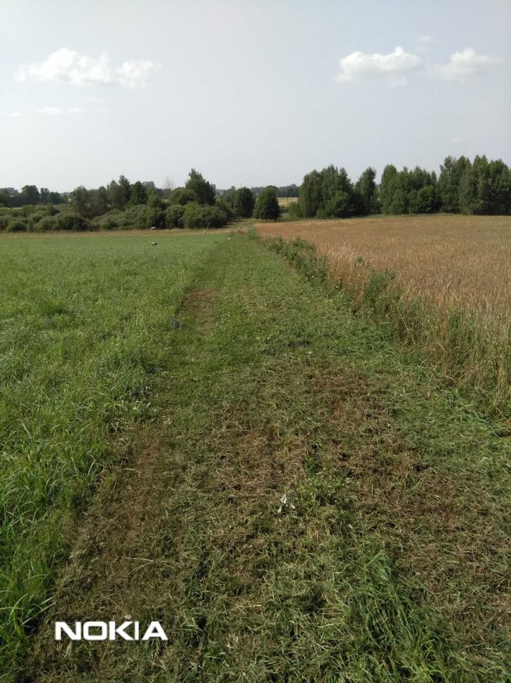 Działka budowlana Przebród. Zdjęcie 3