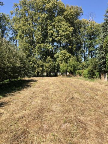 Działka budowlana Oblęgorek, ul. Aleja Lipowa. Zdjęcie 1