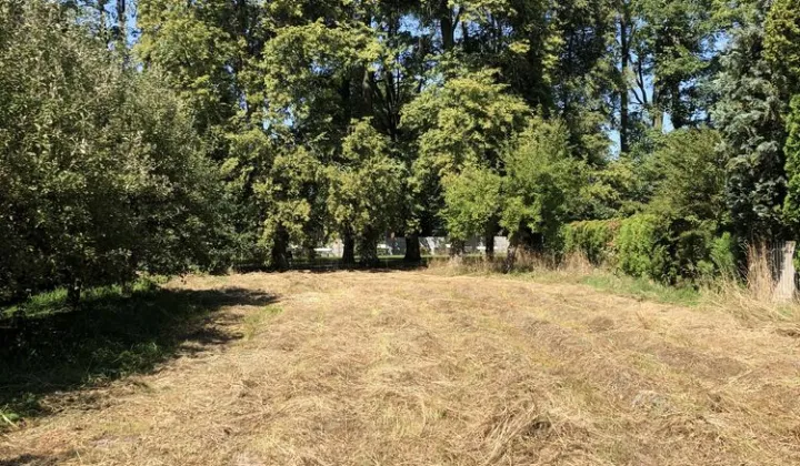 Działka budowlana Oblęgorek, ul. Aleja Lipowa